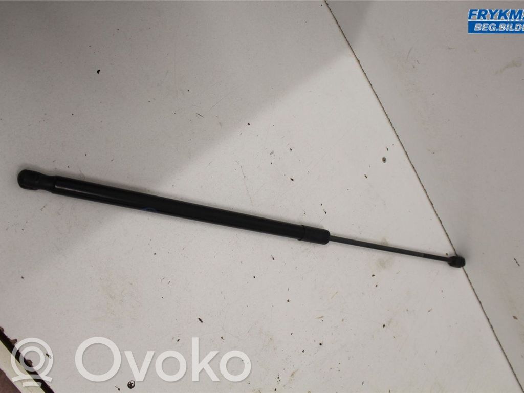 Ford Focus Tailgate strut 