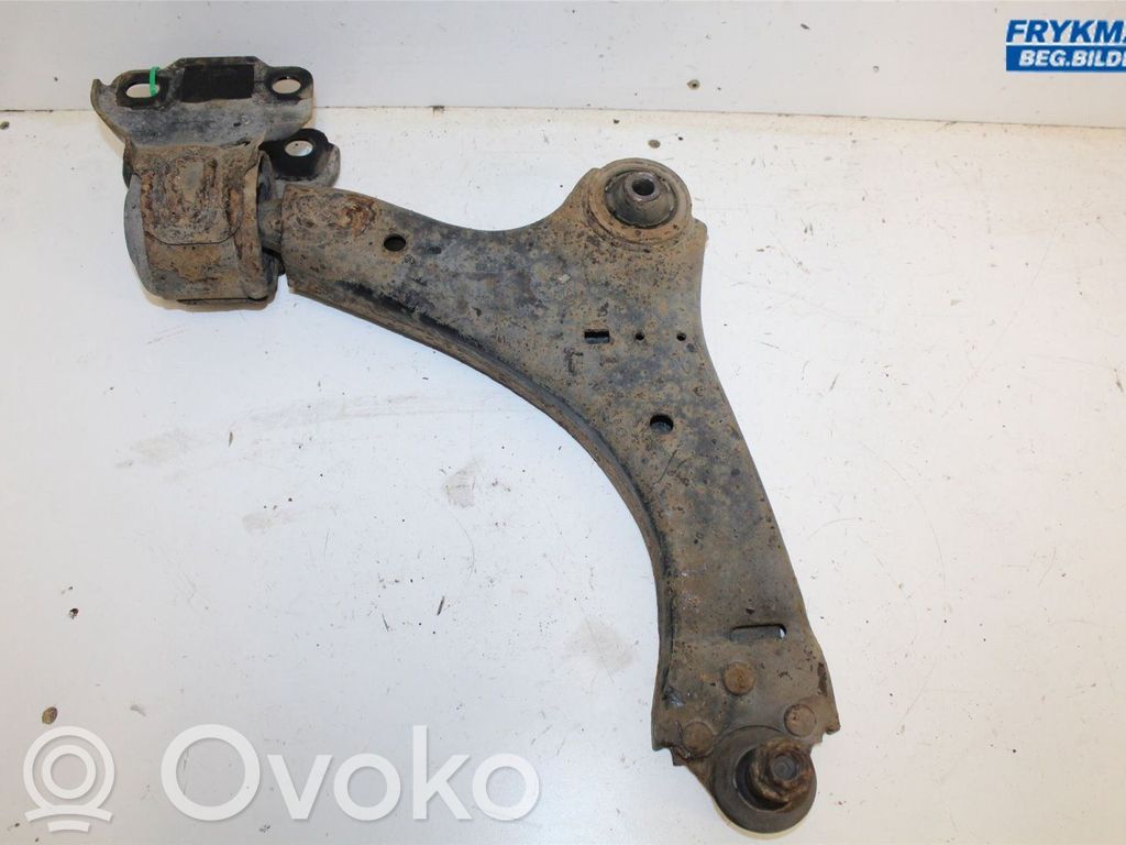 Dakša   31277344