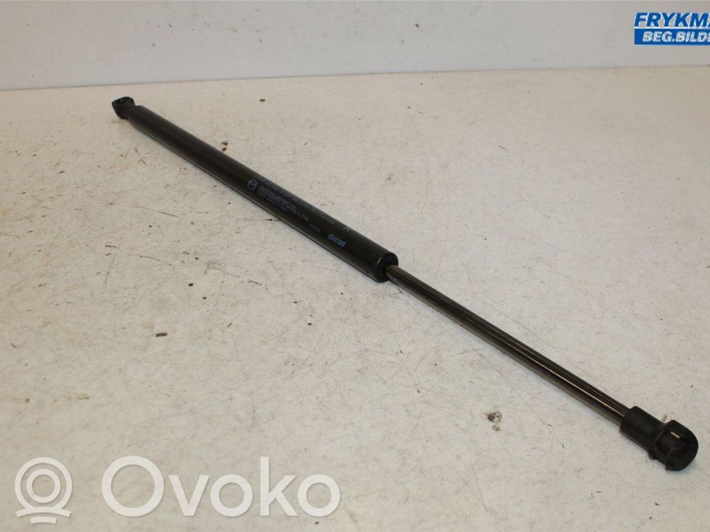Muelle amortiguador puerta trasera   D10E62620
