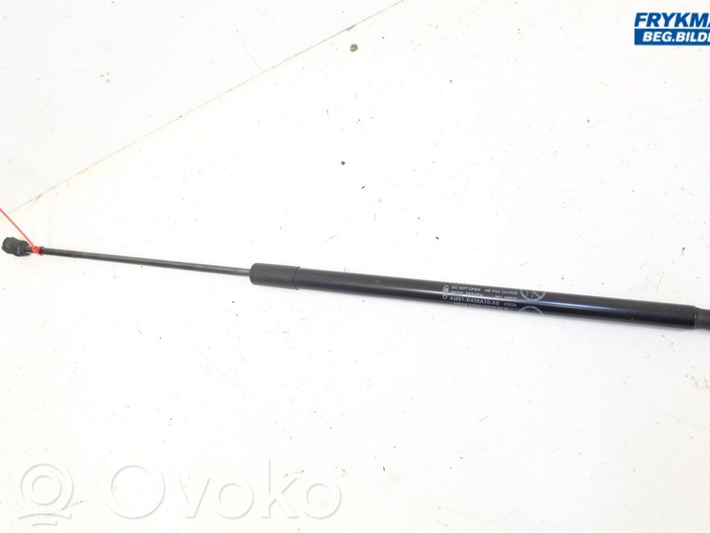 Ford C-MAX II Tailgate strut 