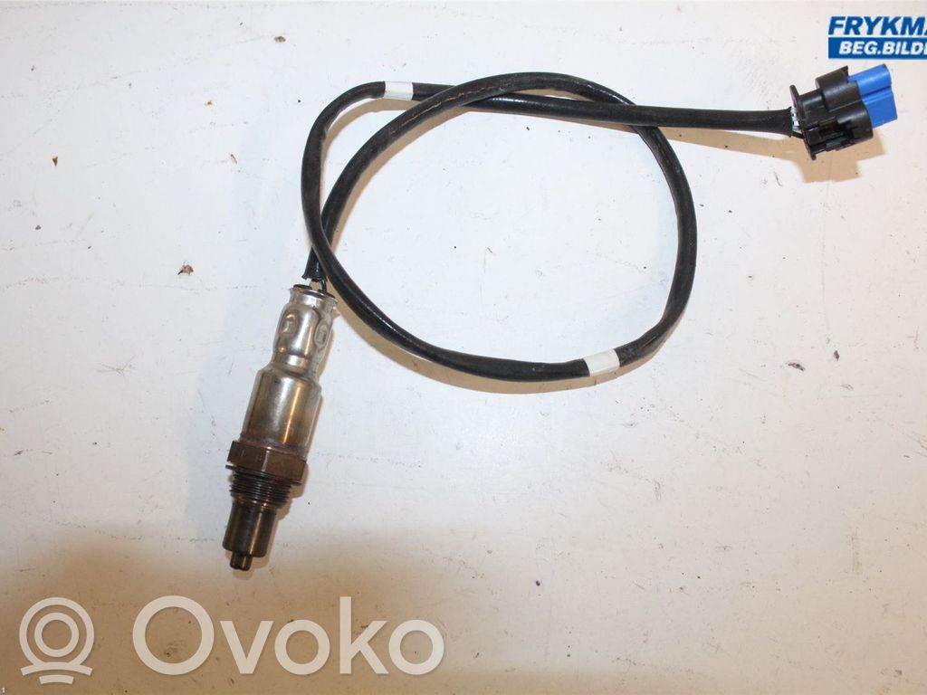 Lambda probe sensor   2432225,LX619G444BB,LX619G444BB