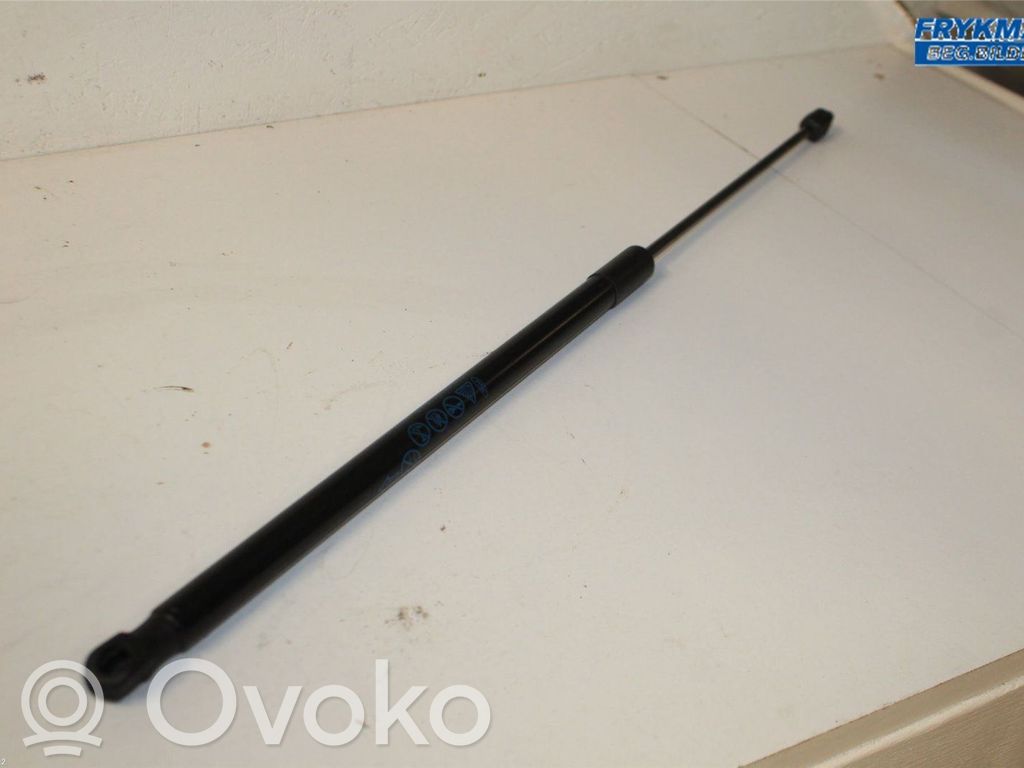 Ford Puma Tailgate strut 
