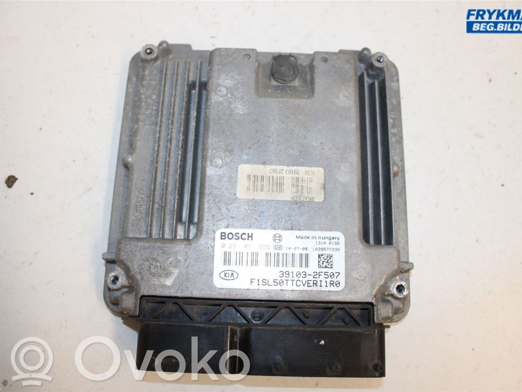 KIA Sportage Injection control unit/module 