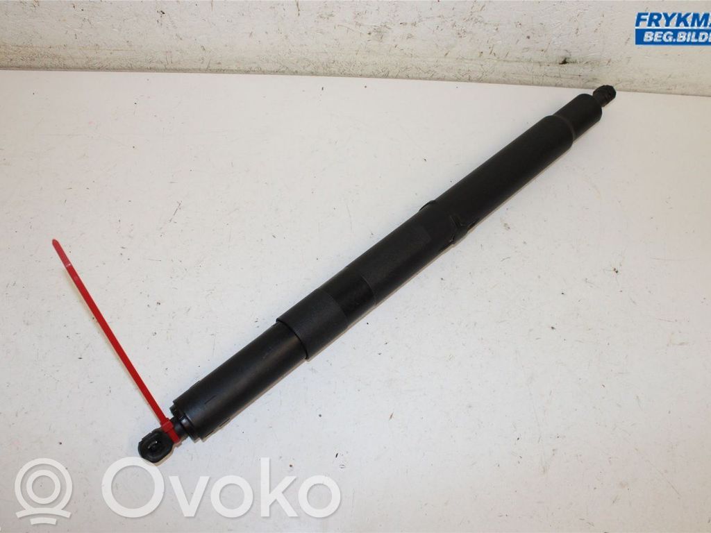 Tailgate strut   51247201939