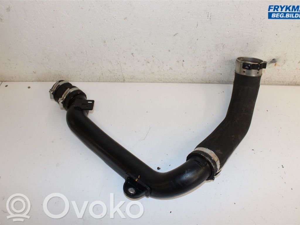 Ford Focus Manguera/tubo del intercooler 