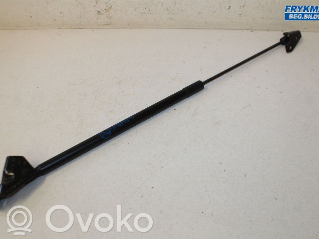 Ford Focus Tailgate strut 