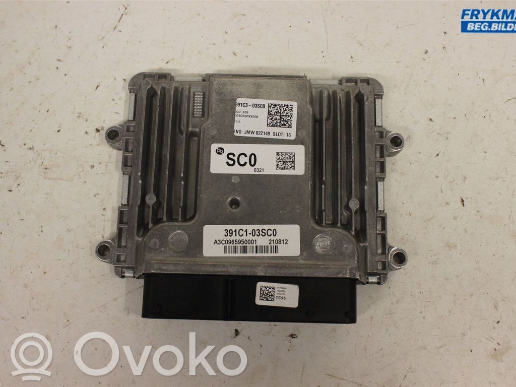 Injection control unit/module   391C303SC0,391C103SC0,391C103SC0