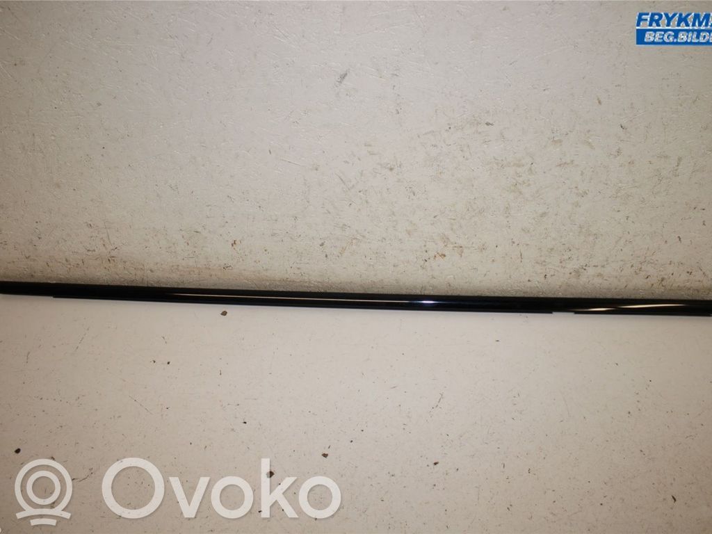Front door trim (molding)   808208061R