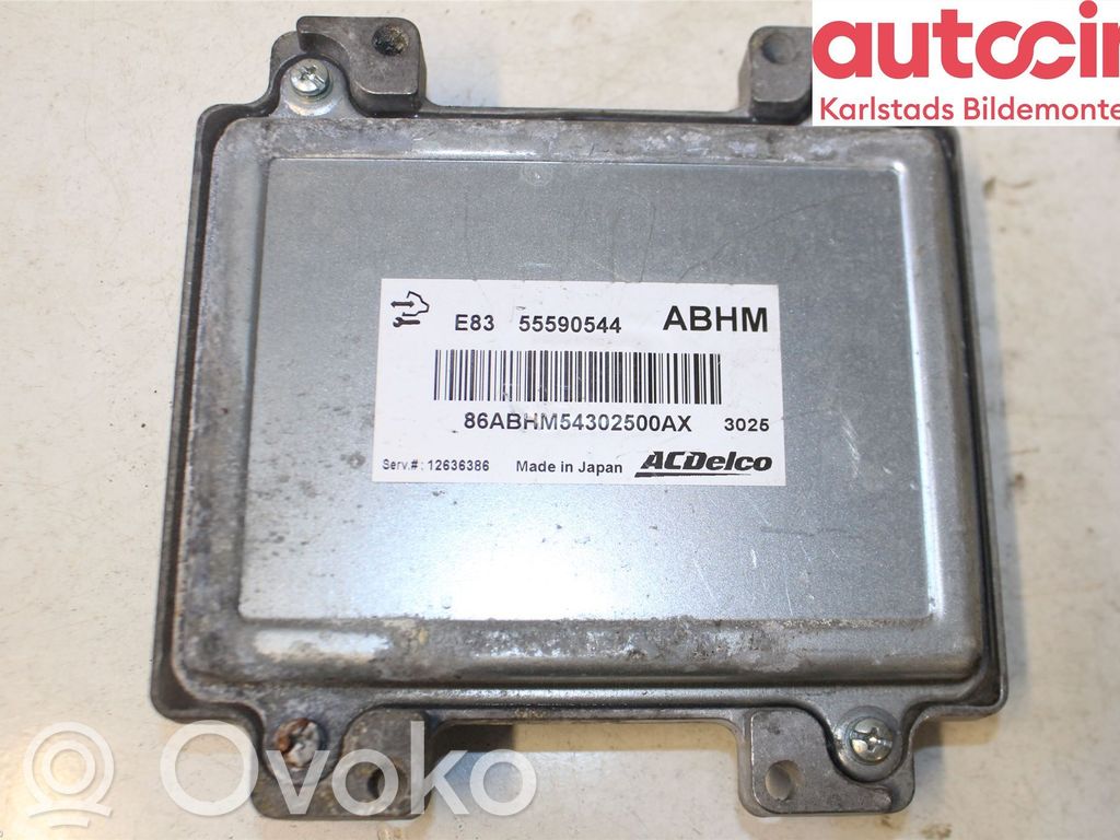 Injection control unit/module   12636386,12679199