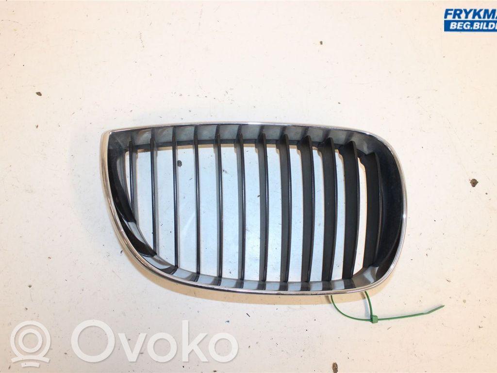 BMW 1 E81 E87 Front bumper lower grill 