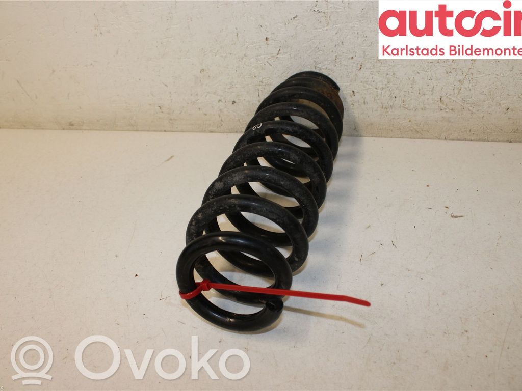 Rear coil spring