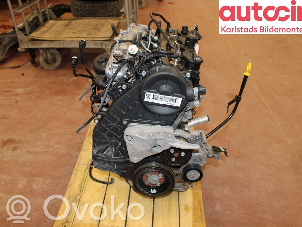 Motor   55578954