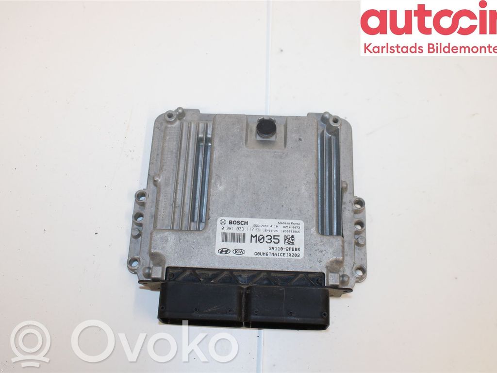 Injection control unit/module   391102FBB6,0281033117,391102FBB6
