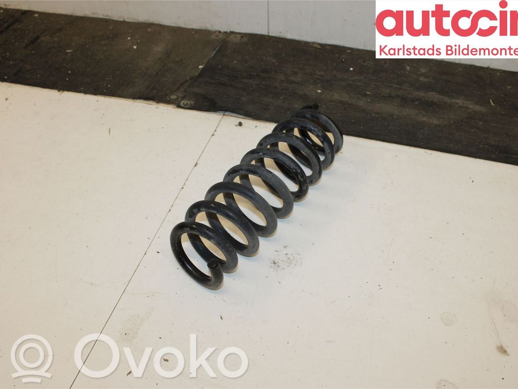 Rear coil spring