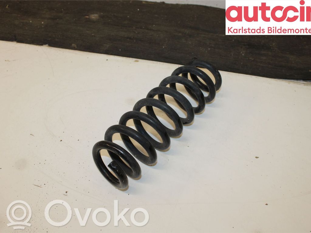 Rear coil spring
