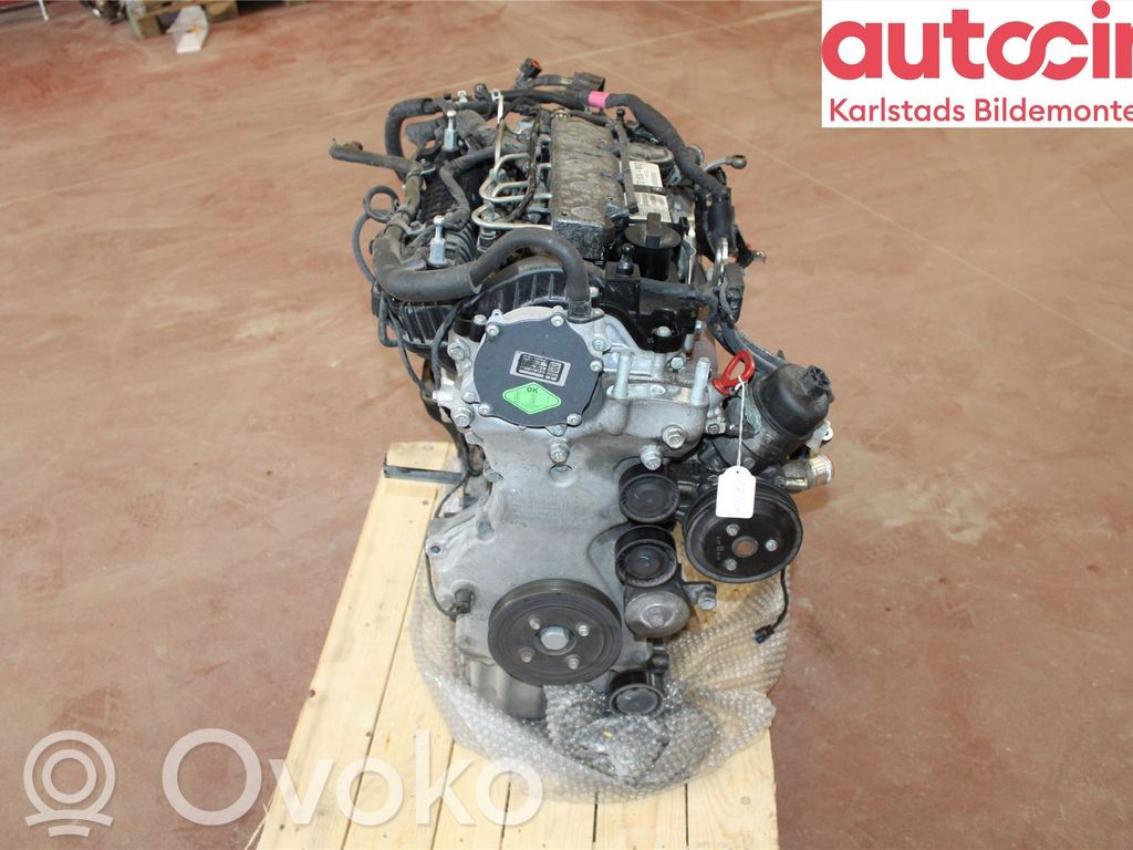 Variklis   D16X002,D16X002