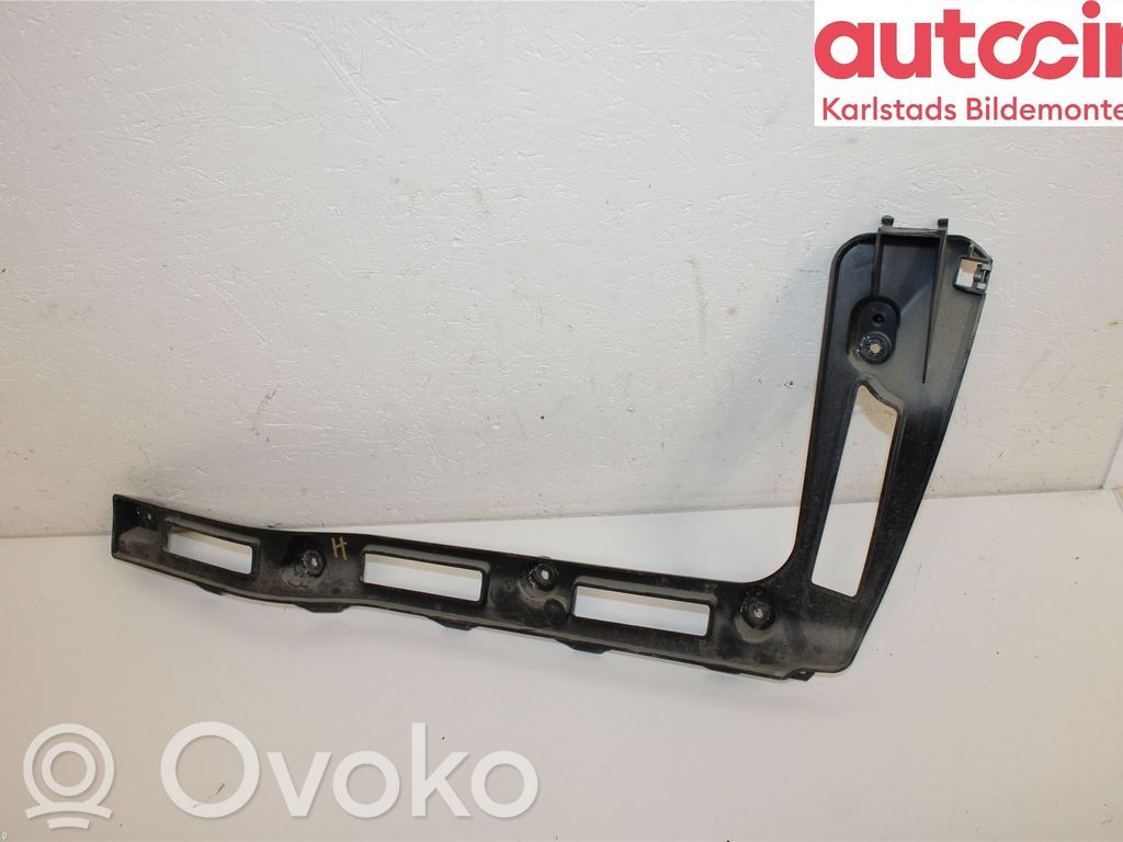 Tailgate trim   1866201,BM51N40250A,BM51N40250A