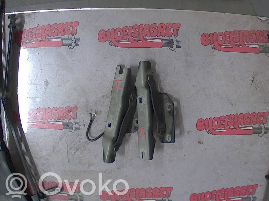 BMW 5 E60 E61 Engine bonnet/hood hinges 