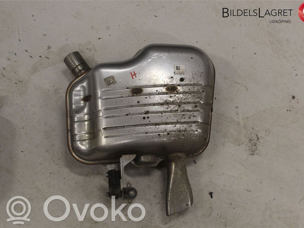 Audi A5 Galinė pūslė 