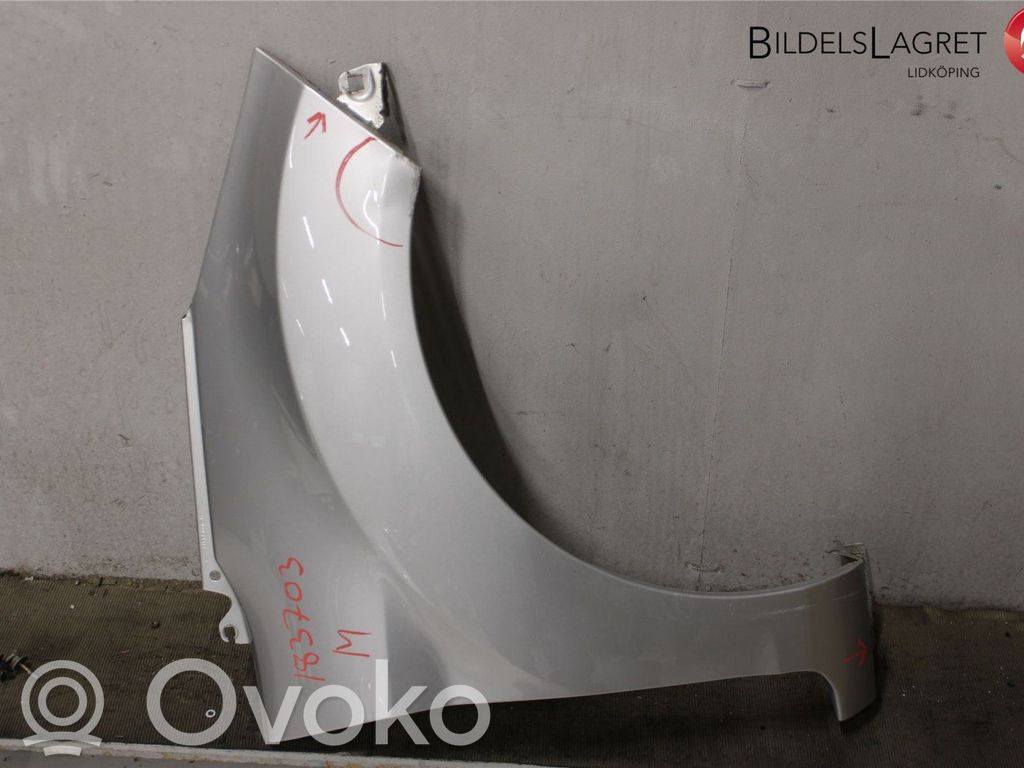 Ford Fiesta Fender 