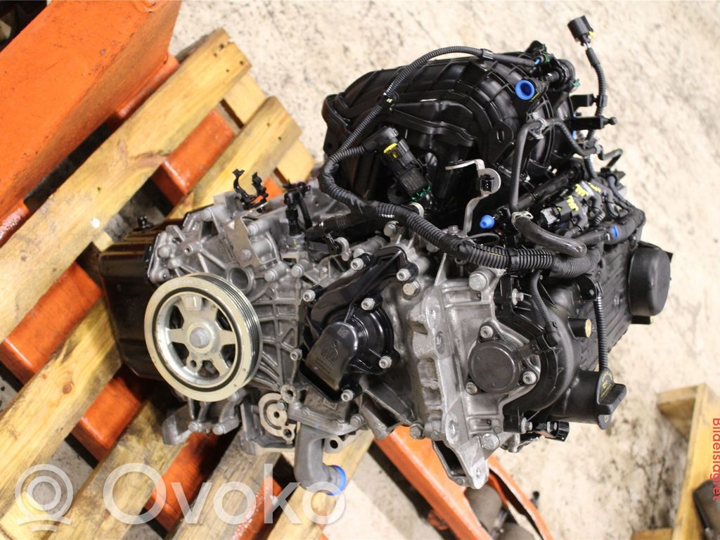 Motor