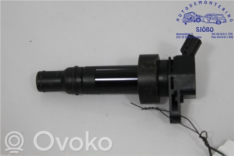 Aukštos įtampos ritė "babyna"   273012B100,273012B100,273012B100