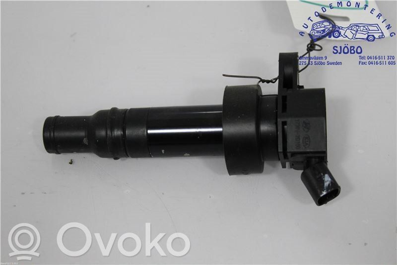 Aukštos įtampos ritė "babyna"   273012B100,273012B100,273012B100
