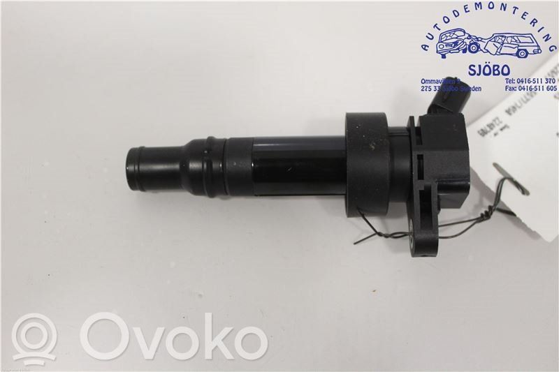 Aukštos įtampos ritė "babyna"   273012B100,273012B100,273012B100