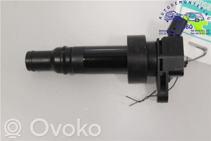 Aukštos įtampos ritė "babyna"   273012B100,273012B100,273012B100
