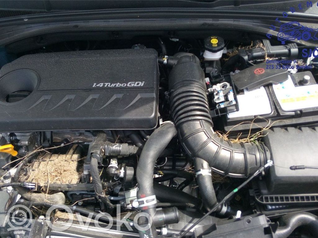 Variklis   Z67H103D00