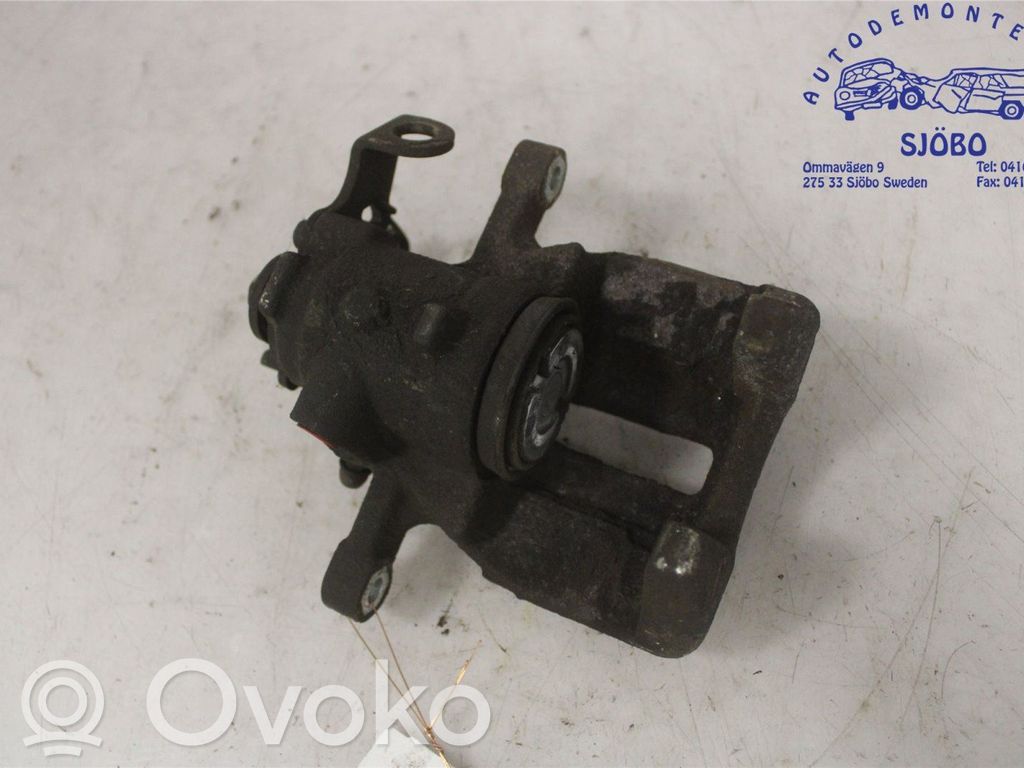 Takajarrusatula   4401L1