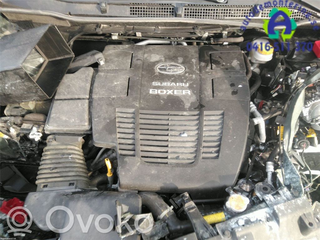Engine   10100CE300
