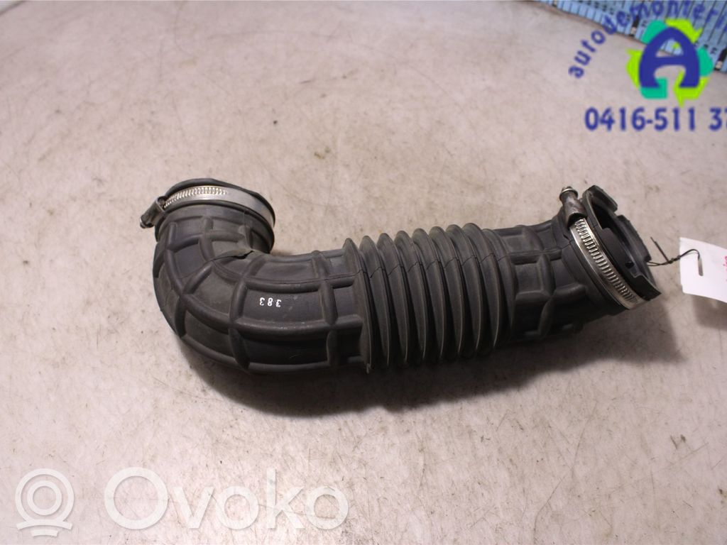 Einzelteil Lufteinlasskanal   2520038,GK219R504AB,GK219R504AB