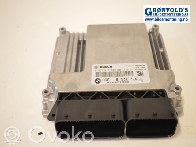 Unité de commande, module ECU de moteur   0281016925,0281016925