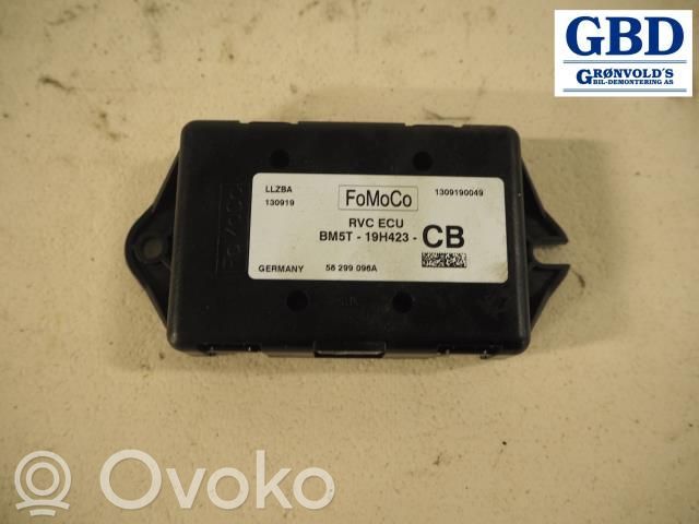 Ford Focus Other control units/modules 