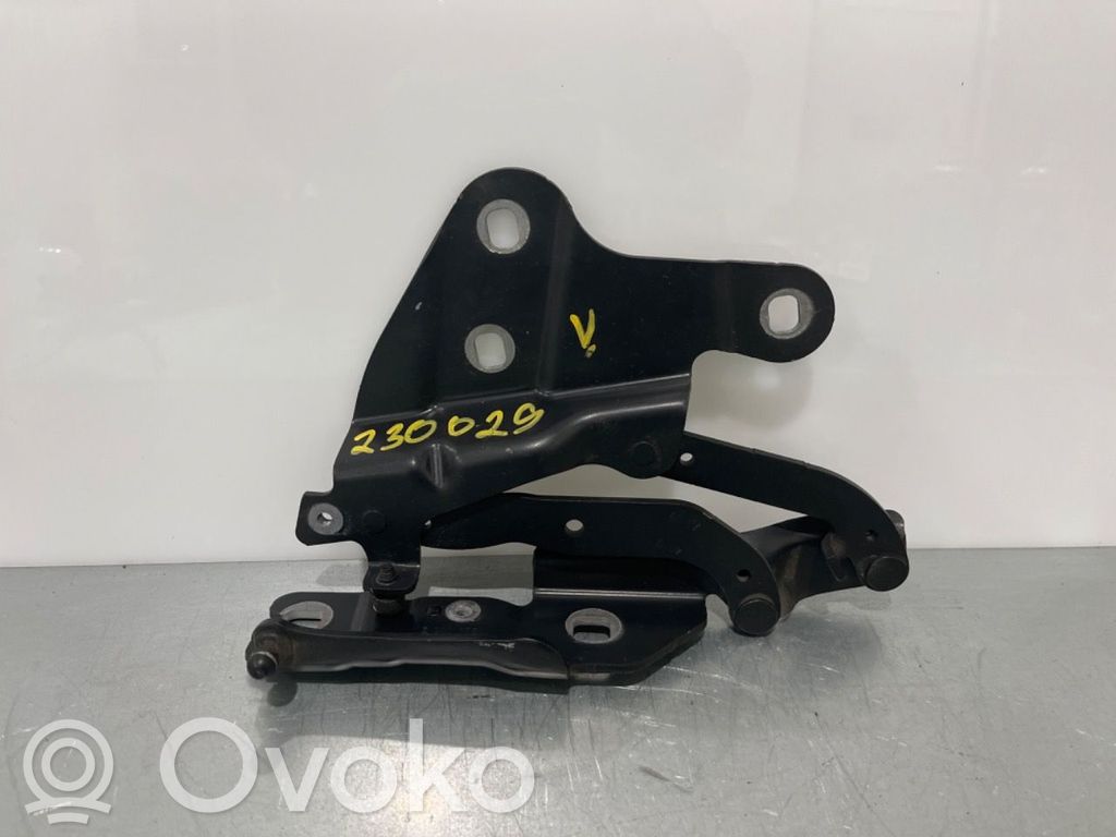 BMW X1 E84 Engine bonnet/hood hinges 
