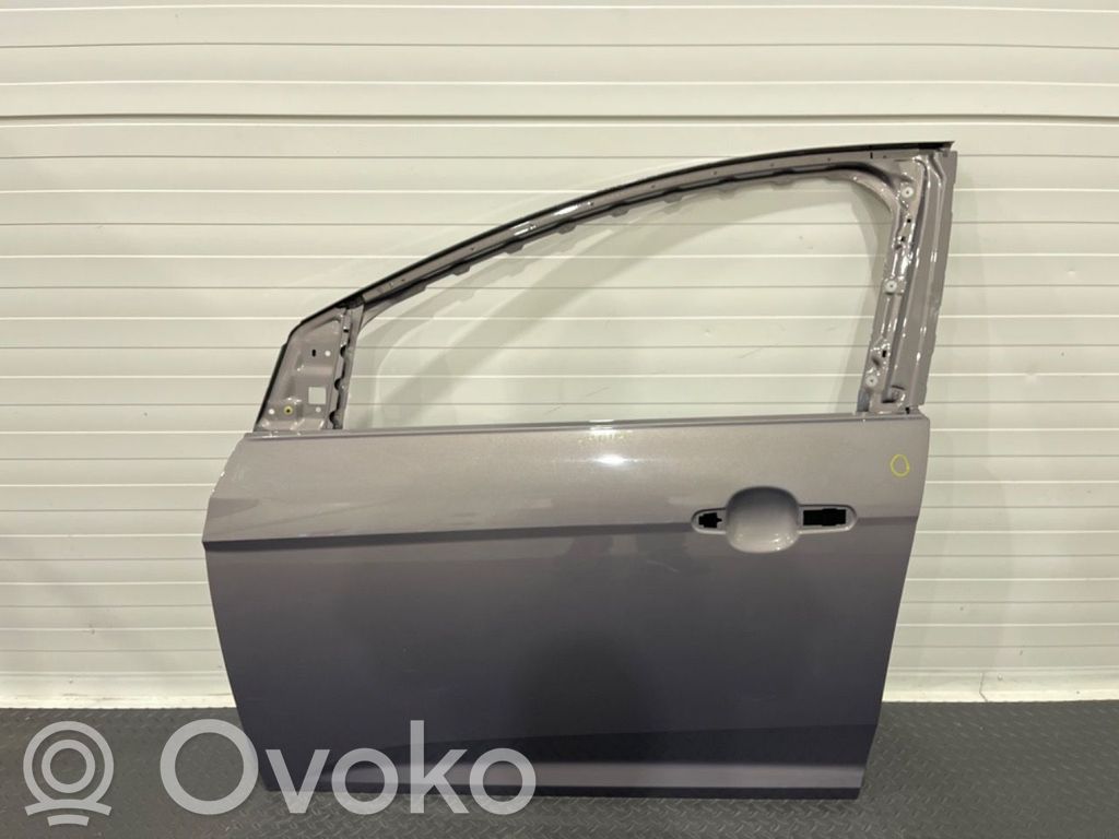 Ford Focus Front door 
