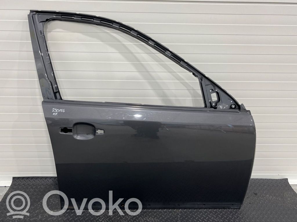 Puerta delantera   12847216,12847216