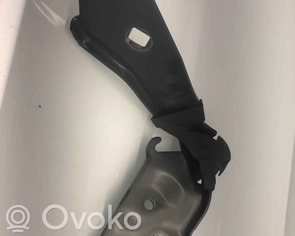Tesla Model 3 Dzinēja pārsega eņģe (-es) 
