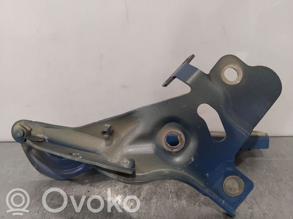 Audi e-tron Engine bonnet/hood hinges 