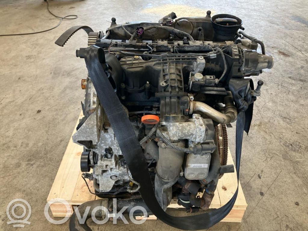 Volkswagen Polo V 6R Variklis 