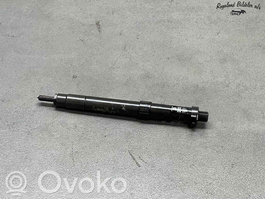 Ford S-MAX Injector combustibil 