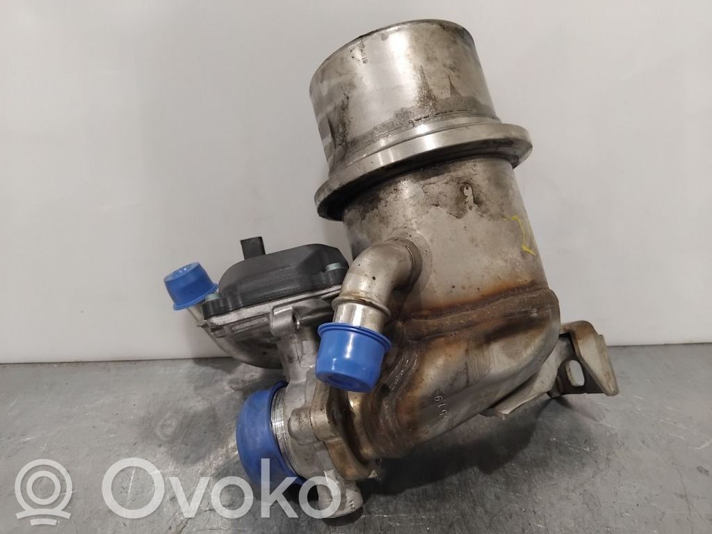 Skoda Octavia Mk3 (5E) Valvola EGR