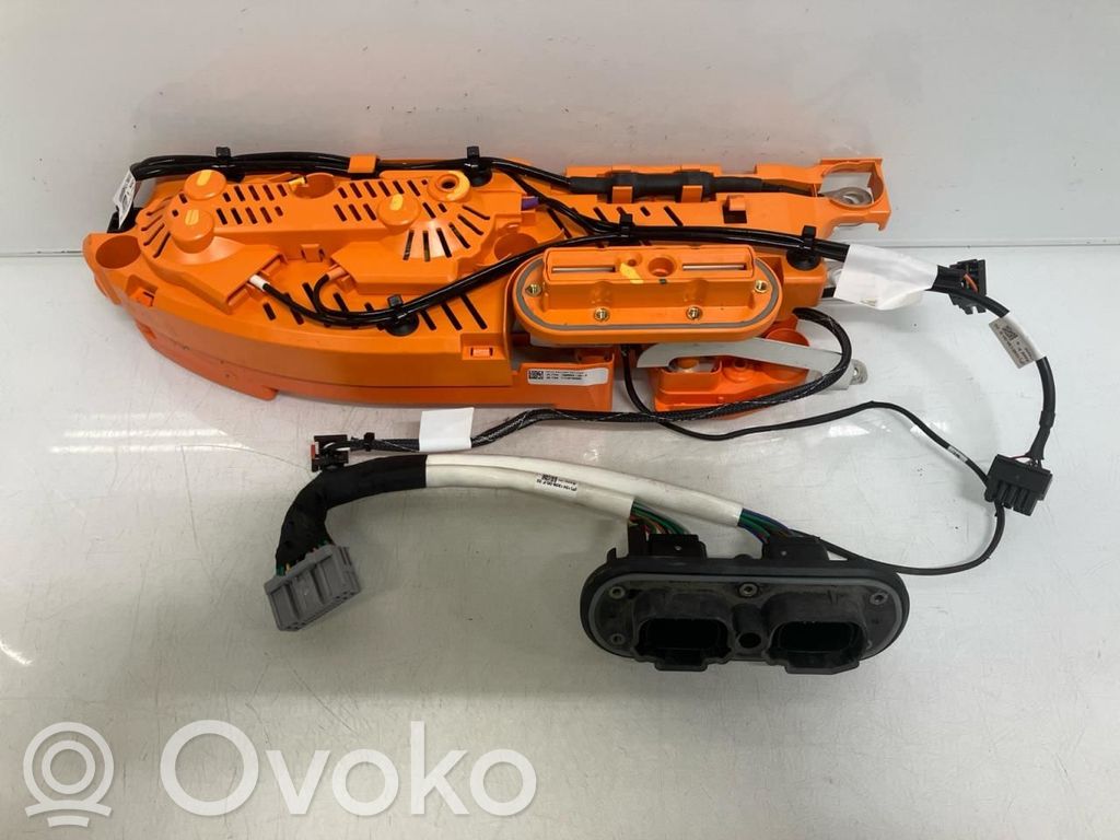 Tesla Model S Kiti valdymo blokai/ moduliai 