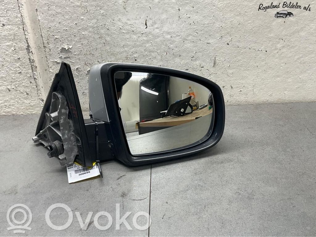BMW X6 E71 Espejo lateral eléctrico de la puerta delantera 