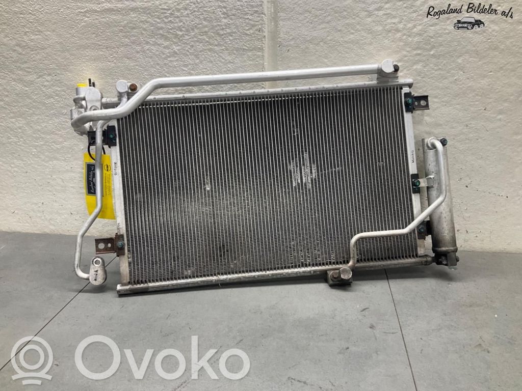 Hyundai Ioniq Radiatore di raffreddamento 