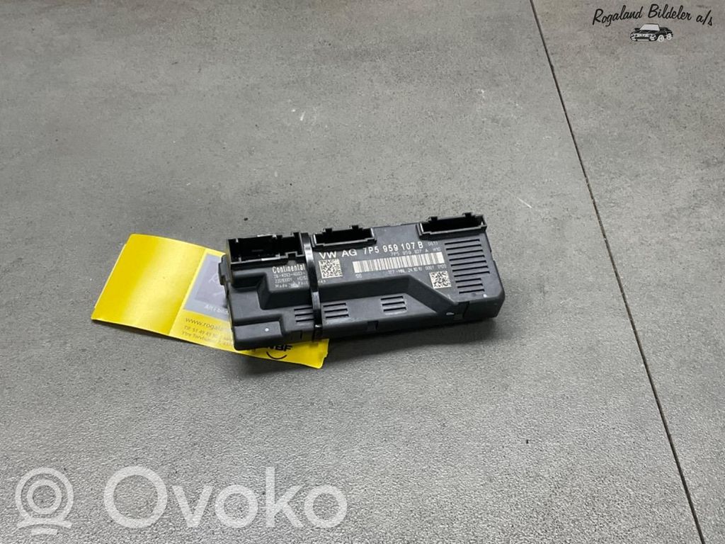 Porsche Cayenne (9PA) Tailgate/trunk control unit/module 