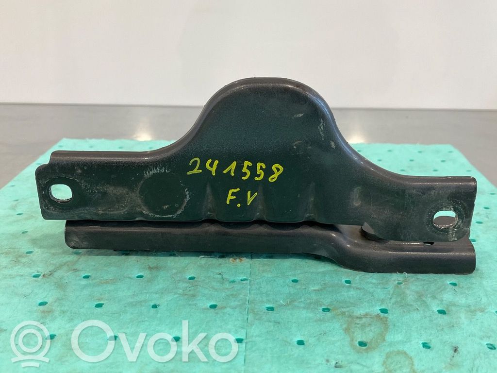 Tesla Model S Balamale capotă 