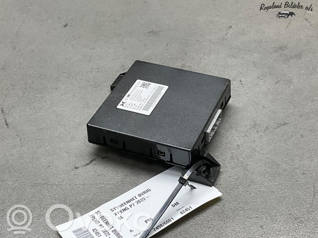 XPeng P7 Sonstige Steuergeräte / Module