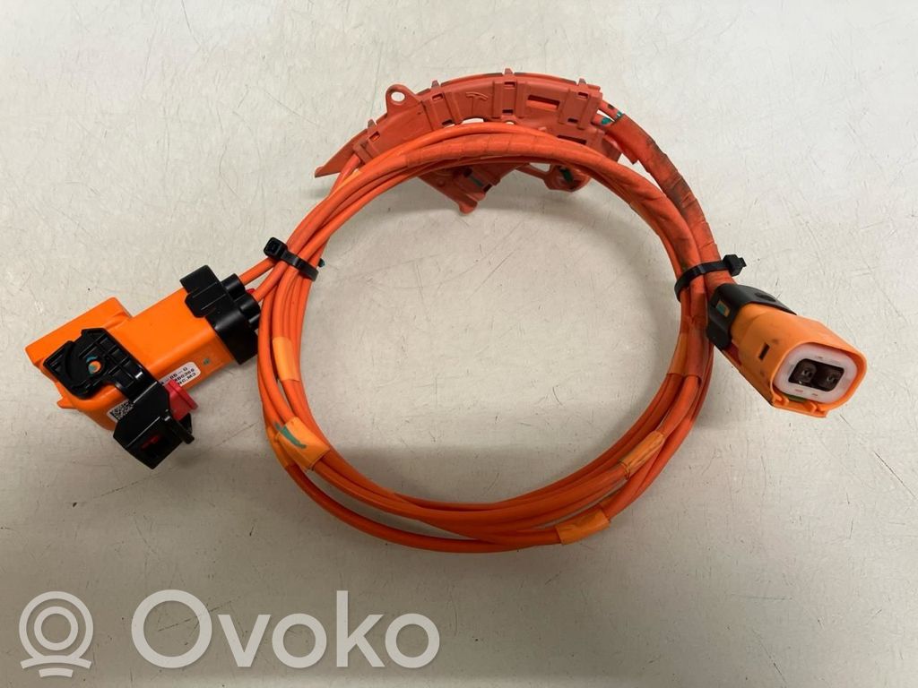 Cavo ad alta tensione   110900405G,110900405G